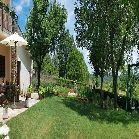 Apartment Norina Grožnjan Esterno foto